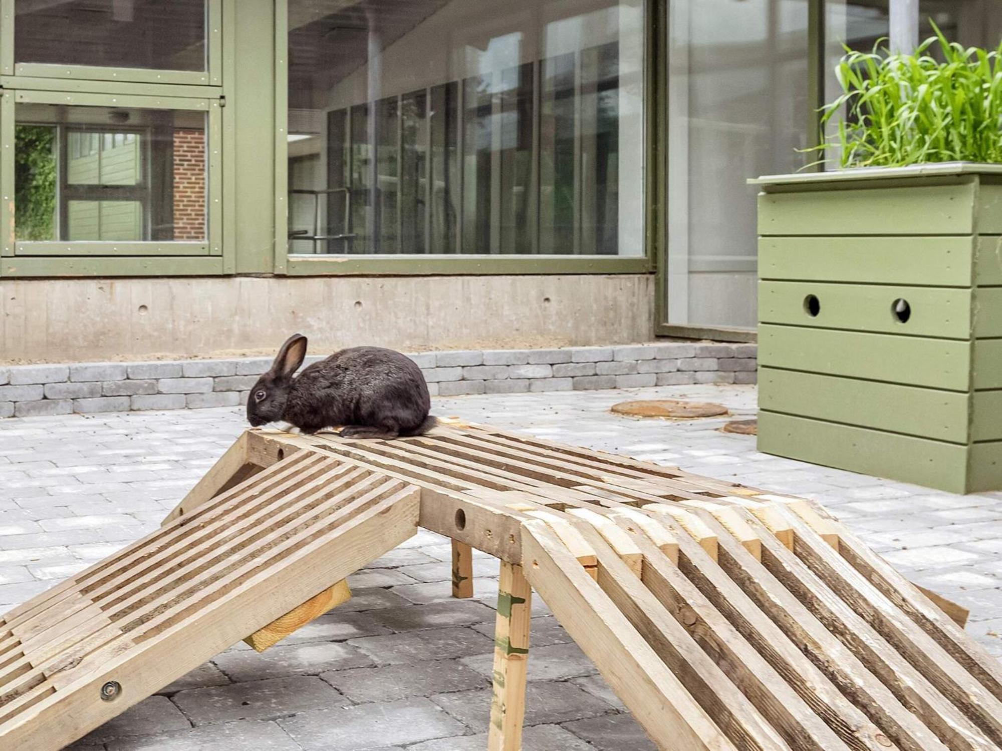 6 Person Holiday Home On A Holiday Park In 한스트홀름 외부 사진